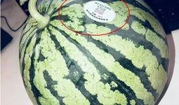 张家界网红吃瓜,揭秘网红美食背后的故事