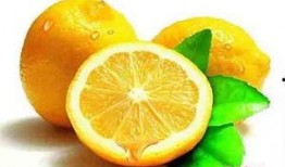 在线观看柠檬,一场视觉与味觉的盛宴